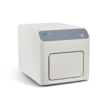 Real-Time PCR (qPCR)