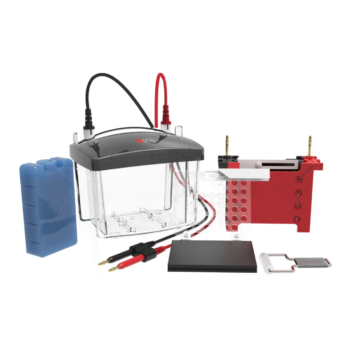 DL-ZY03 Transfer electrophoresis tank