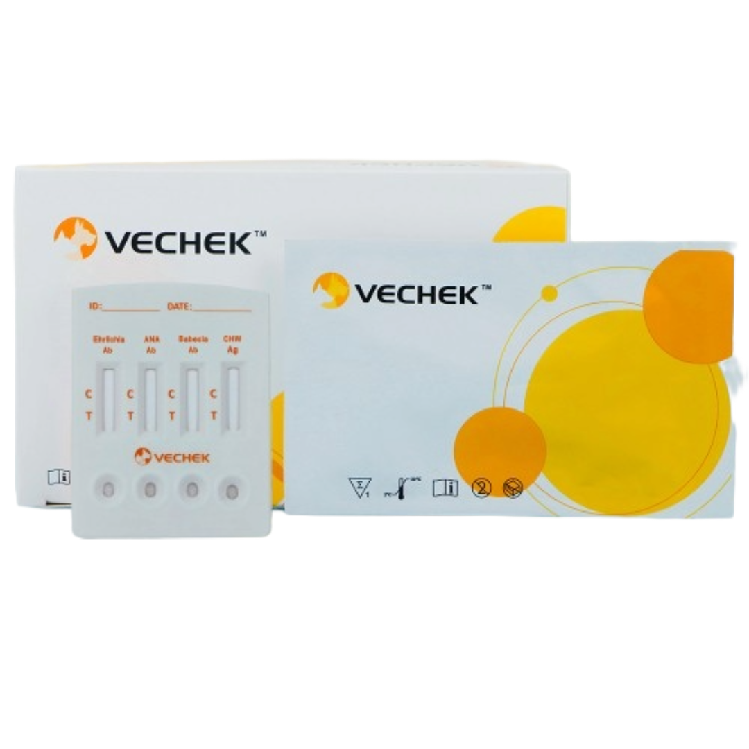 Untitled - August 09, 2026 at 17.08.53 (18)