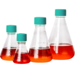 Erlenmeyer Flasks