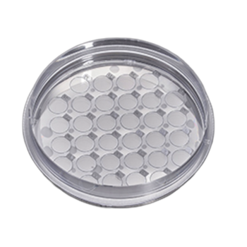 CellSLIP® Coverslips