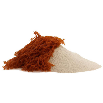Carrageenan