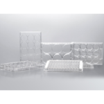 Untitled – August 09, 2026 at 17.08.53