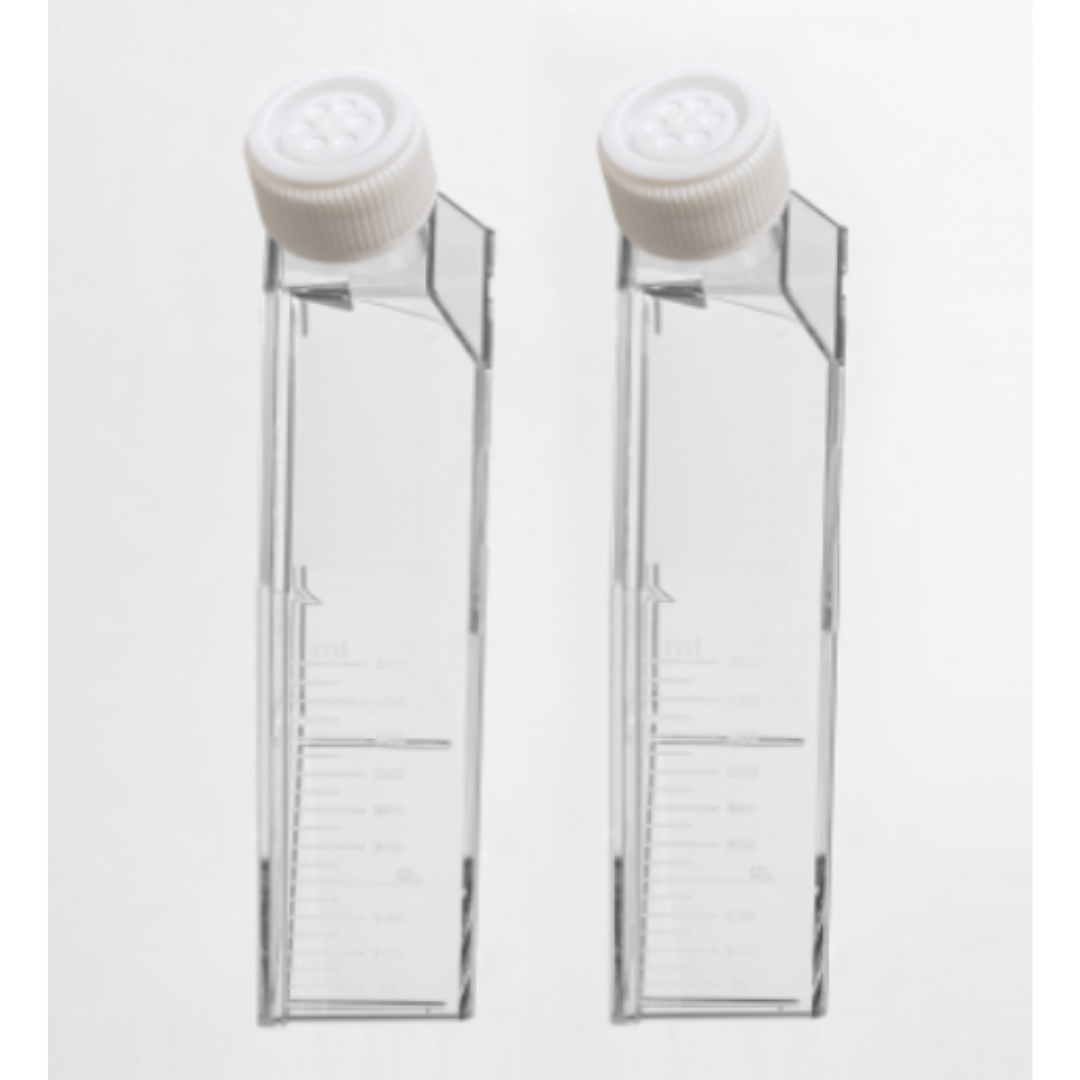 Untitled design (21)