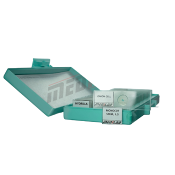 Prepared Microscope Slides